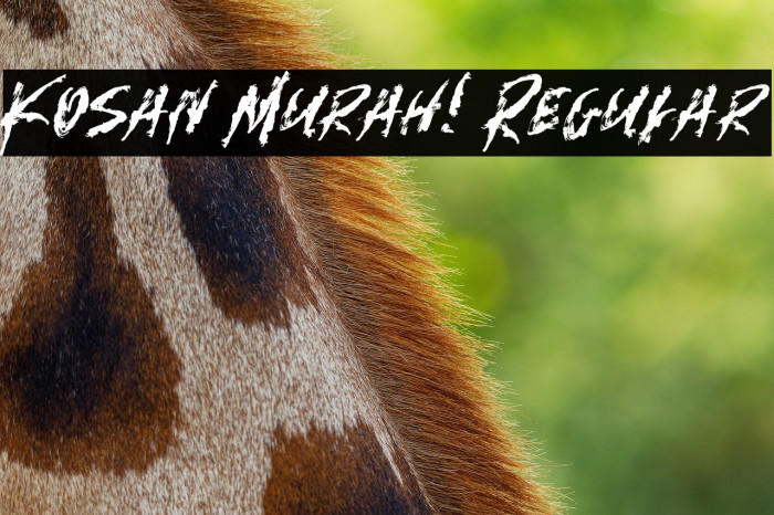 Kosan Murah! Regular Example 1