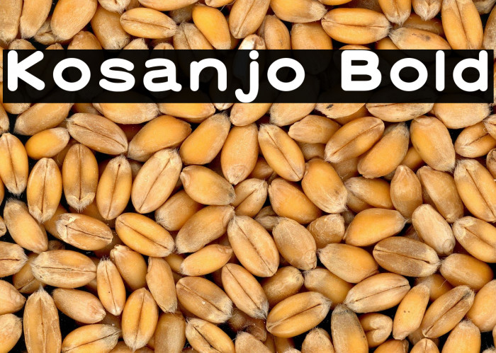 Kosanjo Bold Example 3