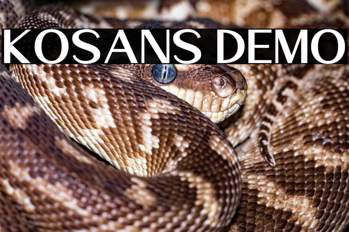 Kosans DEMO Example 3