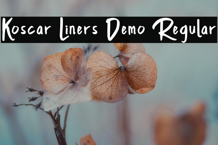 Koscar Liners Demo Regular Example 1