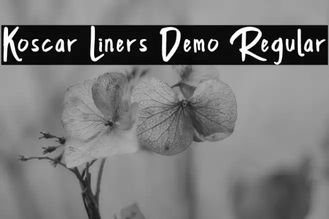 Koscar Liners Demo Regular Font examples