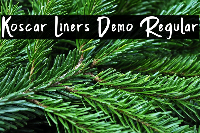 Koscar Liners Demo Regular Example 2