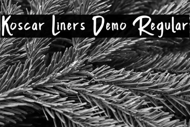 Koscar Liners Demo Regular Font examples