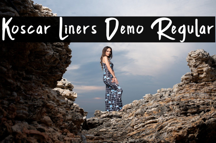 Koscar Liners Demo Regular Example 3
