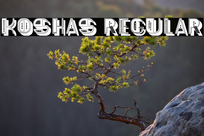 Koshas Regular Example 3