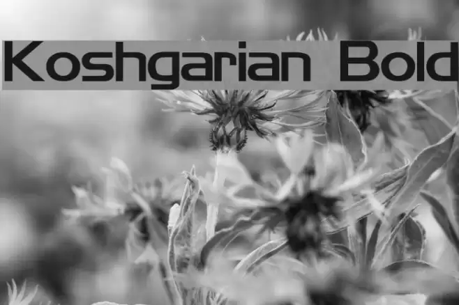 Koshgarian Bold Font examples