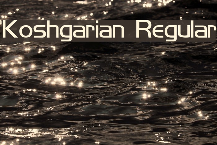 Koshgarian Regular Example 1