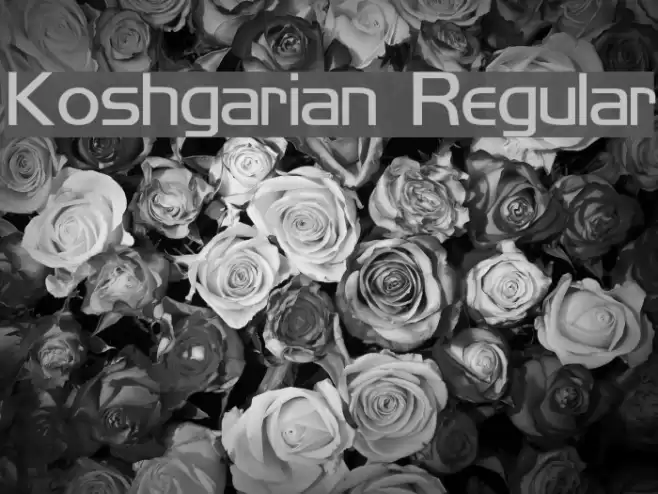 Koshgarian Regular Font examples