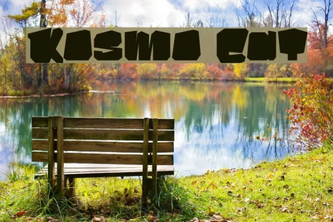 Kosmo Cat Example 2