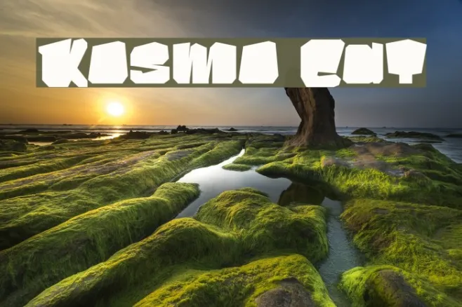 Kosmo Cat Example 3