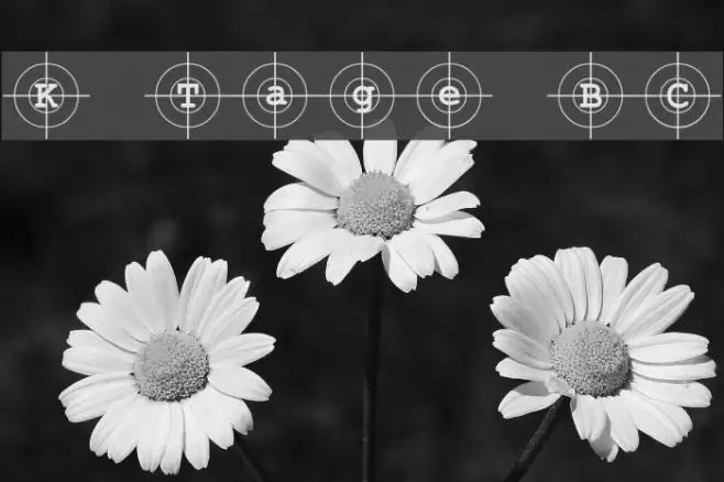 Kosovo Target BC Font examples