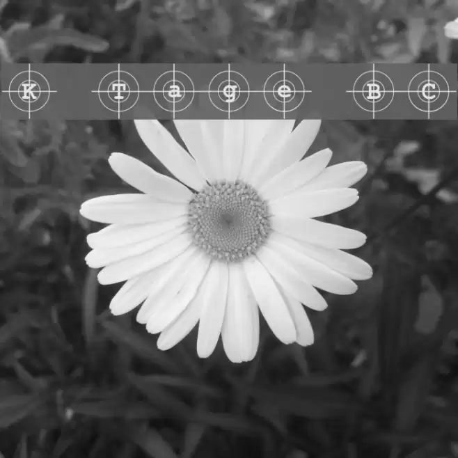 Kosovo Target BC Font examples