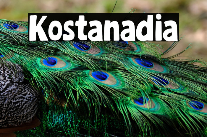 Kostanadia Example 3