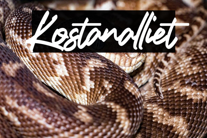 Kostanalliet Example 1