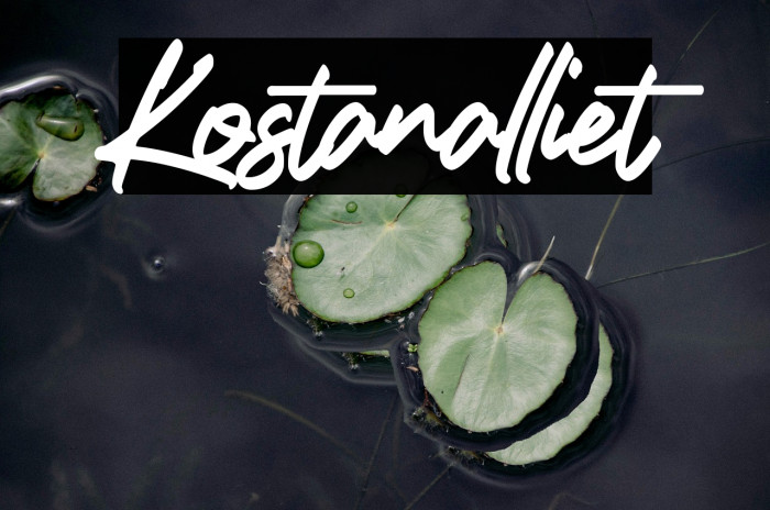 Kostanalliet Example 2