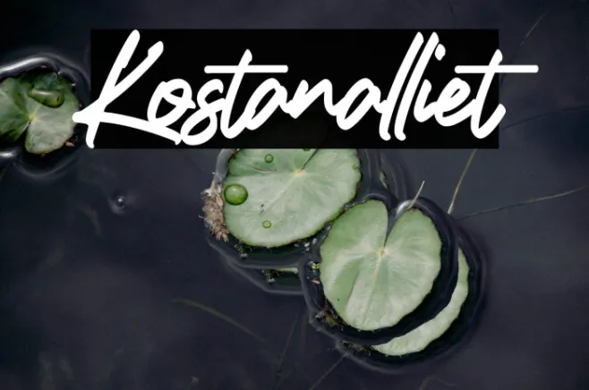 Kostanalliet Example 2