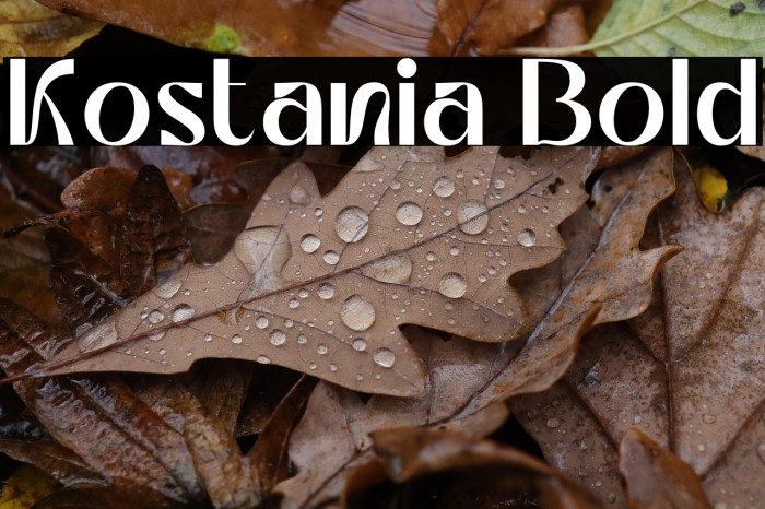 Kostania Bold Example 2