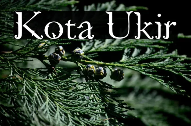 Kota Ukir Example 2