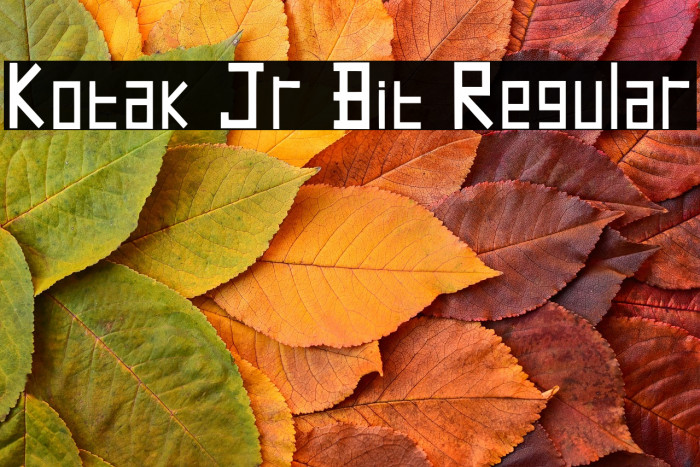 Kotak Jr Bit Regular Example 1