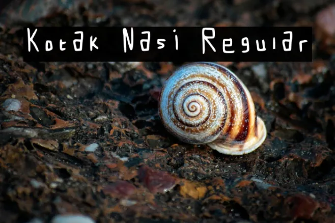 Kotak Nasi Regular Example 2