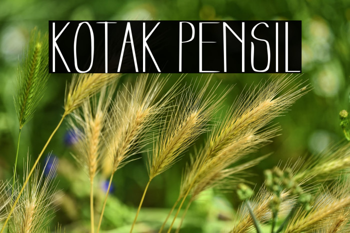 Kotak Pensil Example 1
