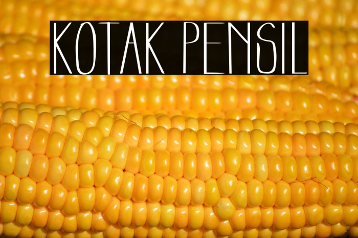 Kotak Pensil Example 2