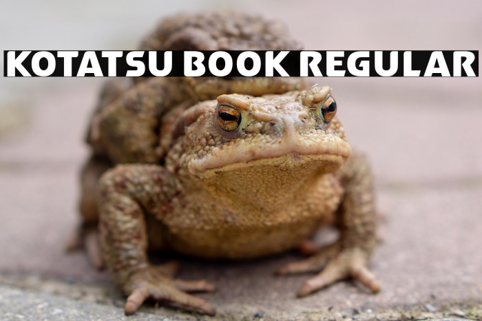 Kotatsu Book Regular Example 3