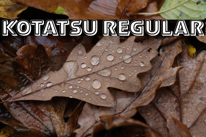 Kotatsu Regular Example 3