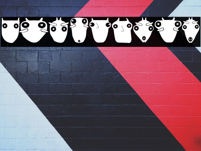 Koti Regular Example 1