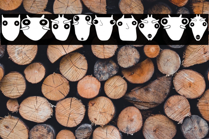 Koti Regular Example 3