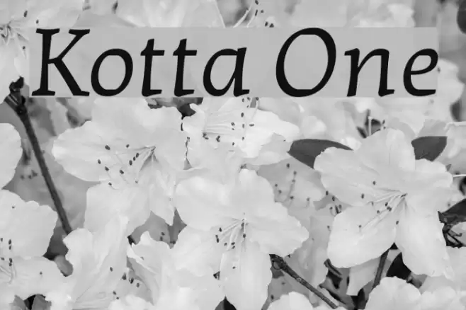 Kotta One Font examples