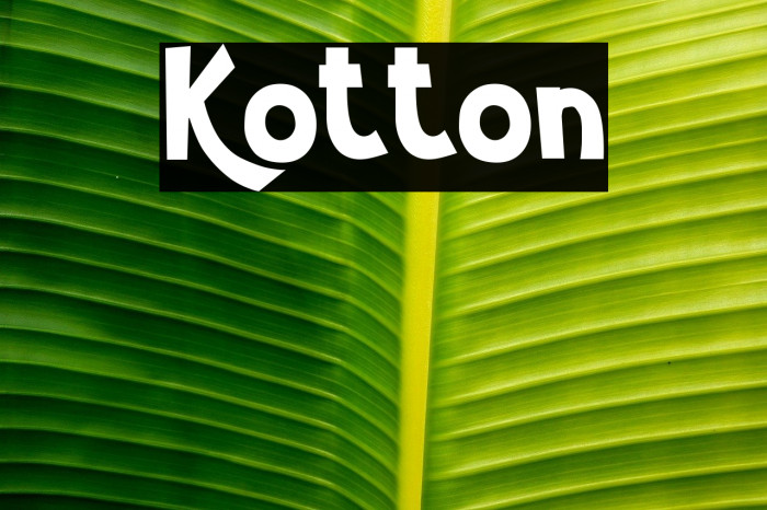 Kotton Example 1