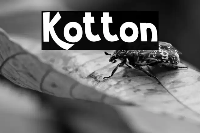 Kotton Caratteri examples