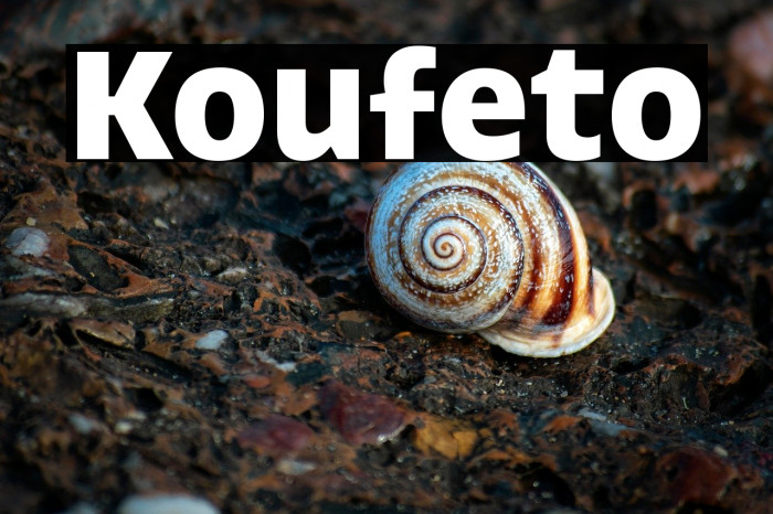 Koufeto Example 2