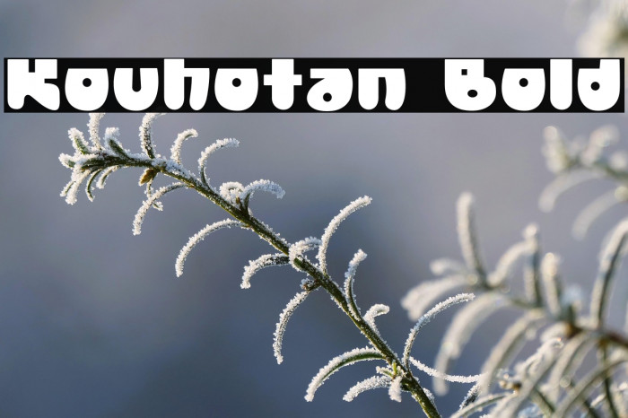 Kouhotan Bold Example 1