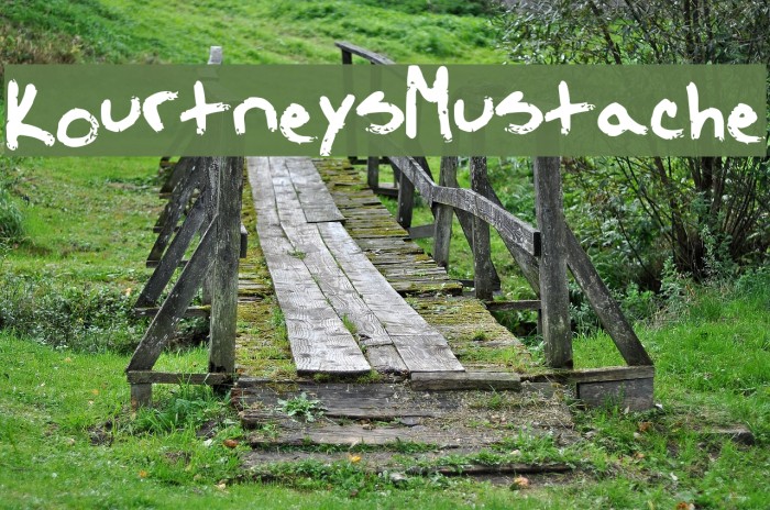 KourtneysMustache Font examples