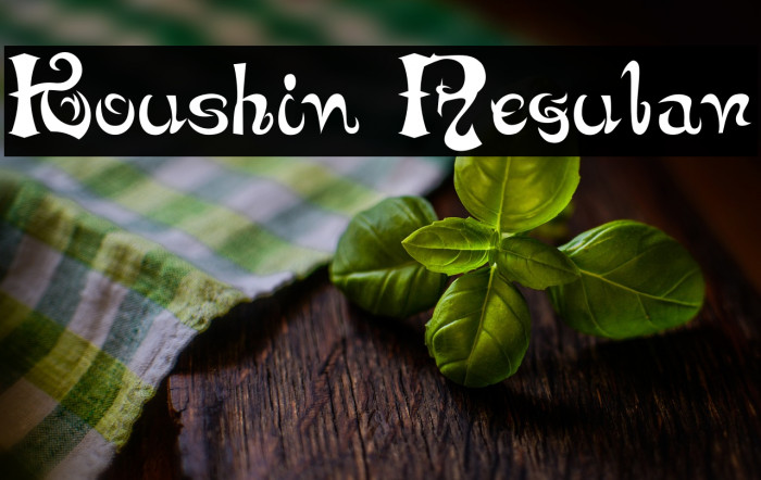 Koushin Regular Example 1