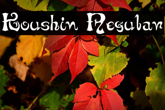 Koushin Regular Example 2