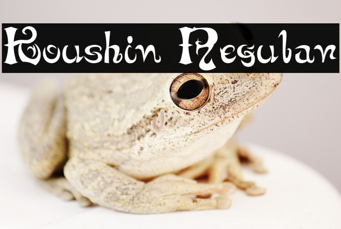 Koushin Regular Example 3