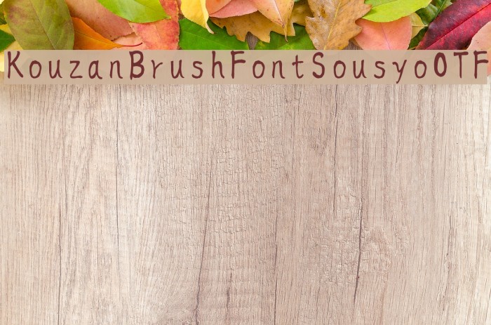 KouzanBrushFontSousyoOTF Font examples