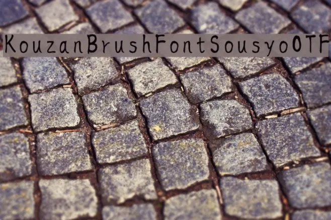 KouzanBrushFontSousyoOTF Example 3