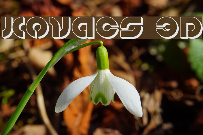 Kovacs 3D Font examples