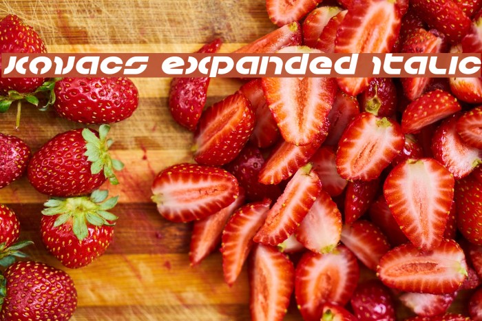 Kovacs Expanded Italic Font examples