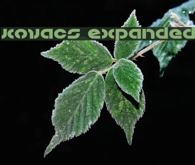 Kovacs Expanded Example 3
