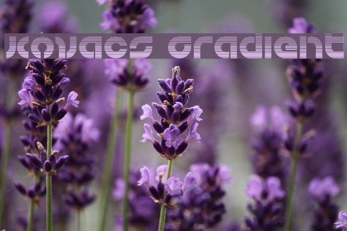 Kovacs Gradient Example 1