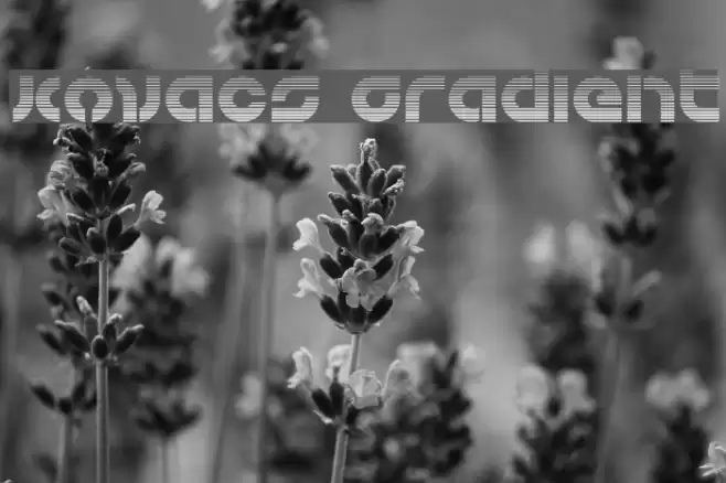 Kovacs Gradient Font examples