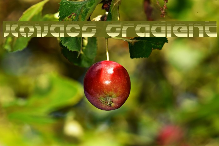 Kovacs Gradient Example 2