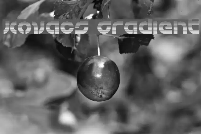 Kovacs Gradient Font examples