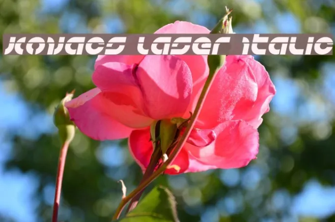 Kovacs Laser Italic Example 3