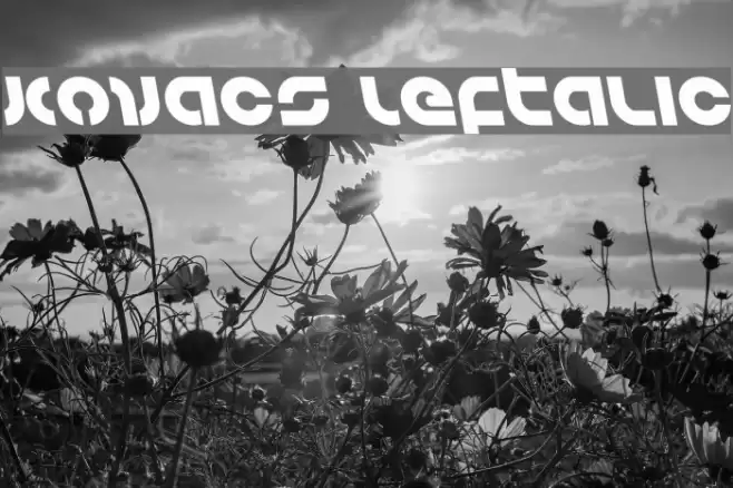 Kovacs Leftalic Font examples